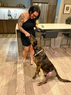 Benny Brooks - Lil bit of leftover steak for the home-alone boy