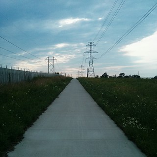 Biking - You could literally hear the electricity while biking down this trail