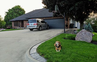 Guarding Jim's house