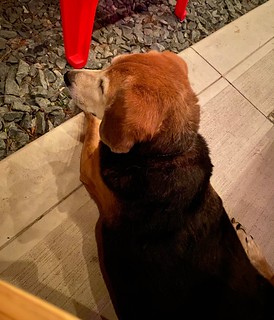 Late night patio boy