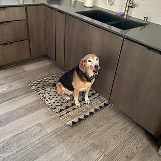 Gimme that breakfast