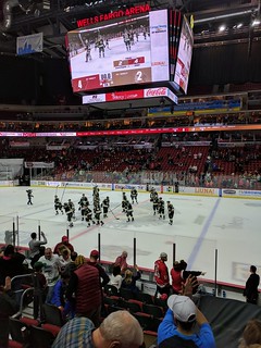 Hockey - Iowa Wild wins