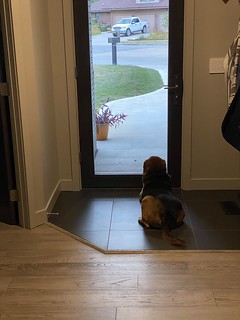 Covid-19 - Kari left. Garth is ready for her to get back.