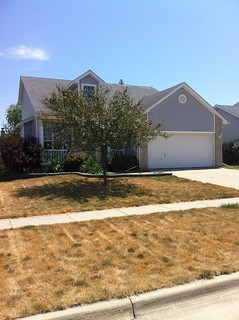 House - Wow, my lawn looks beautiful!