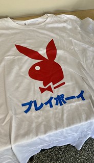 I saw someone wearing a playboy shirt in a music video and thought, “I should buy a playboy shirt”