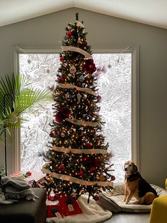 Snow - Got some snow!