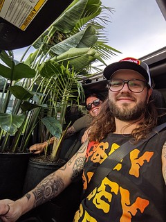 Just driving these plants home