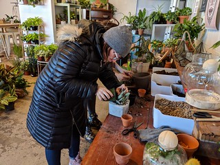 Pottin some plants at Art Terrarium
