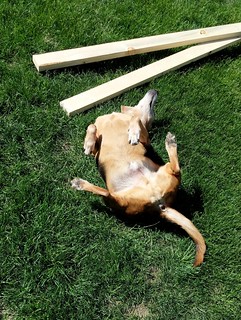 Oh yeah. That's the spot.