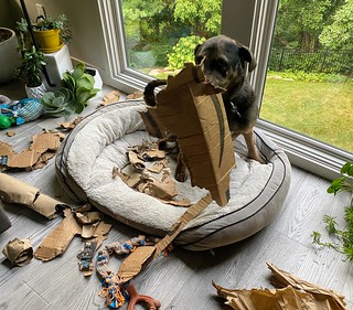 Benny Brooks - Cool. Thank you for destroying that box.