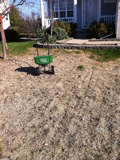 House - Consequences for spending 15 months away from my lawn...