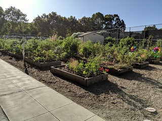 Garden - PayPal HQ has gardens that employees can use.