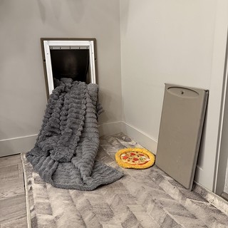 When the tucked in dog decides to go back outside…