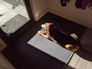 Sun Boye