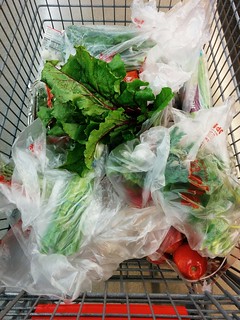 This is what grocery shopping with Kari is like. ALL THE PRODUCE.