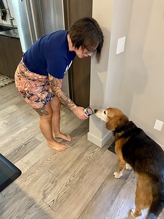 Garth gets fancy food on Fridays too. We gotta make sure it smells good before we serve it tho.