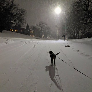 Snowboye