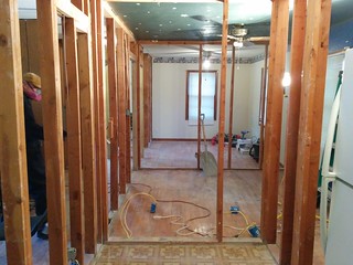 Just finished up another day of demolition. No more interior walls with drywall.