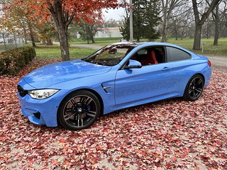 frame - Sakhir leaves still down