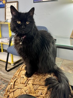 Working from the tire shop.