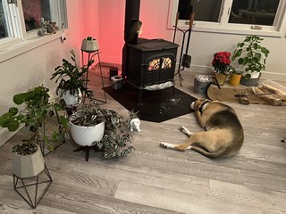 We’ve had this fire going for about 4 days straight now. Durby has been enjoying it.