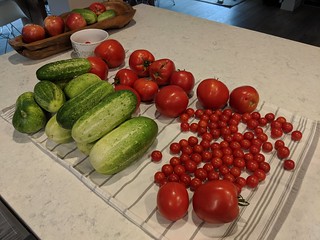 Garden - Kari' garden harvest