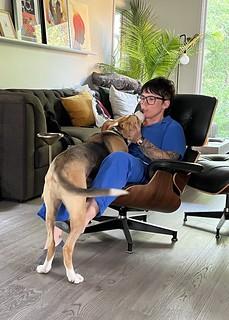 Durby’s no furniture cheat code