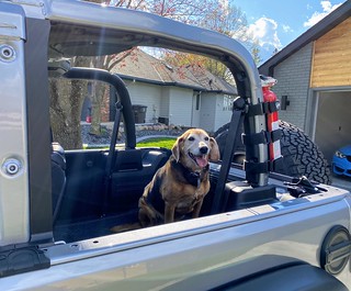Covid-19 - Happy old man is ready for a Jeep ride
