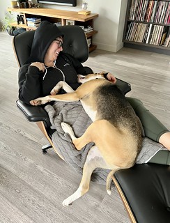 2737 - Durby taking advantage of sick day