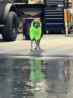 Refusing to go potty