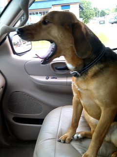 Driving - yes! yes! omg, yes!