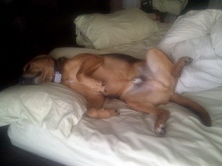 Garth Brooks is a bum