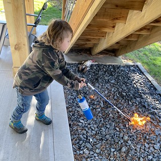 Covid-19 - Puttin the kid to work