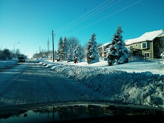 Suburban winter