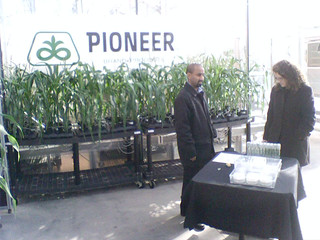 Hanging out in the greenhouses