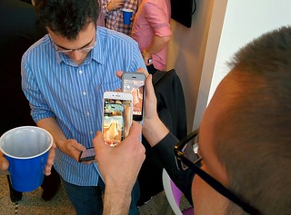 meerkats on meerkats