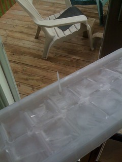 ice cube tray ice column. htf, did this happen?