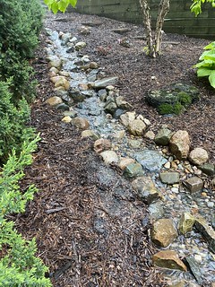 House - Dry stream doin it’s thing