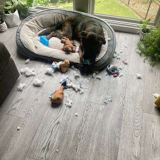 Benny Brooks - Well, that didn't last long