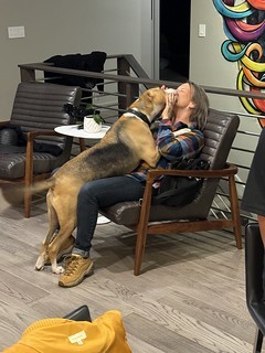 Teresa Reynolds - Lovers