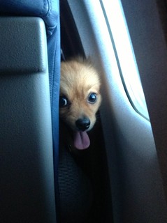 Things you don't expect to look up and see while on an airplane