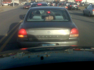 Driving - Sonata Head