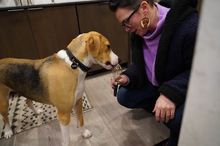 Gettin a sample of puppy birthday cake batter