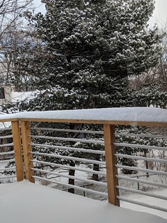 Snow - A snowy back yard
