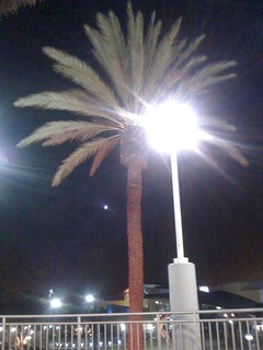 Sittin on a patio, havin a Mai Tai.