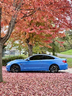 Just gonna stand here and look at this for a minute