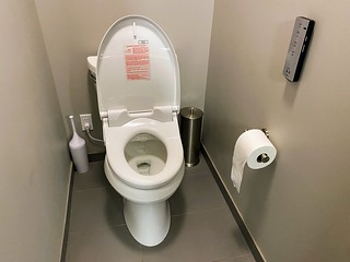 Covid-19 - Just installed a Toto washlet/bidet