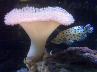 I wish I had the time, patience, and interest to have a sweet fish tank.