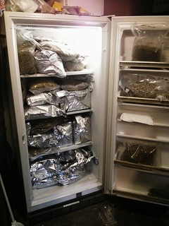 Just a few hops in a fridge