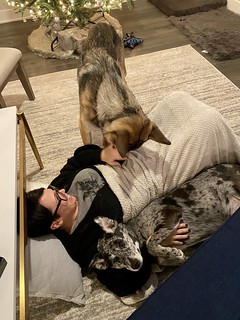 This girl and her dogs